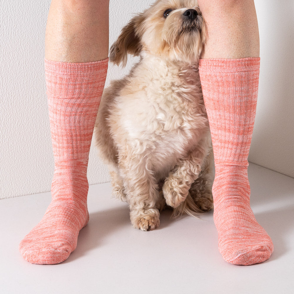 Random socks 2-pack