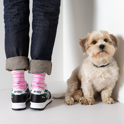 Ladies socks Sophia 2-pack